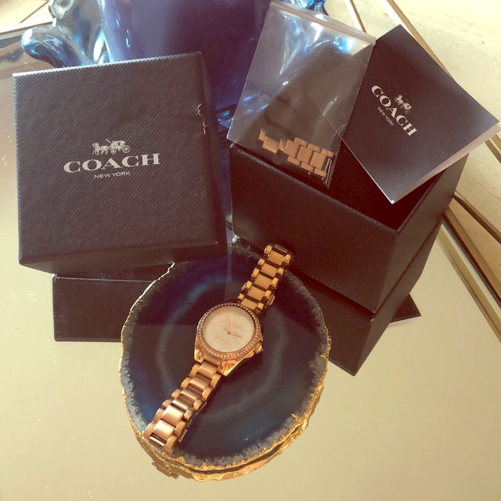 Stainless Steel in Rose Gold Tristan Coach Watch